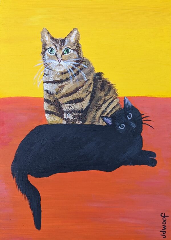 cat portrait, jdwoof, miss wood for the trees