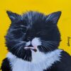 cat portrait, jdwoof, miss wood for the trees