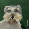 dog portrait, jdwoof, miss wood for the trees