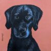 dog portrait, jdwoof, miss wood for the trees