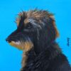 dog portrait, jdwoof, miss wood for the trees