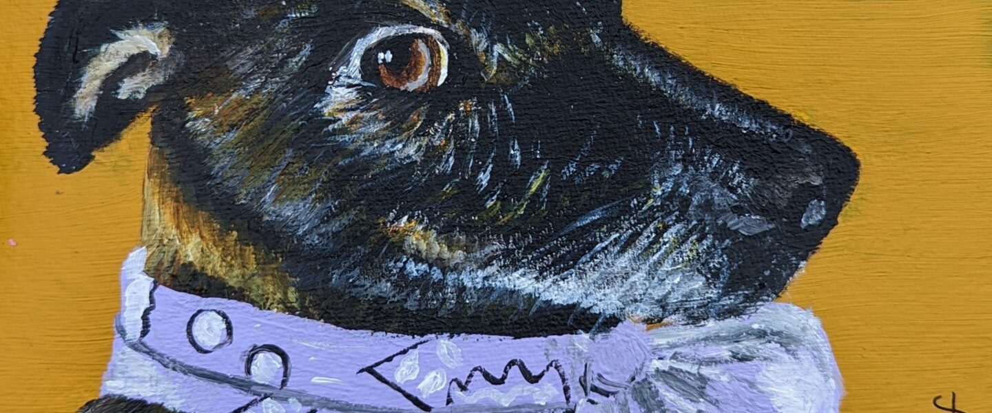 dog portrait, jdwoof, miss wood for the trees