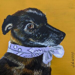 dog portrait, jdwoof, miss wood for the trees