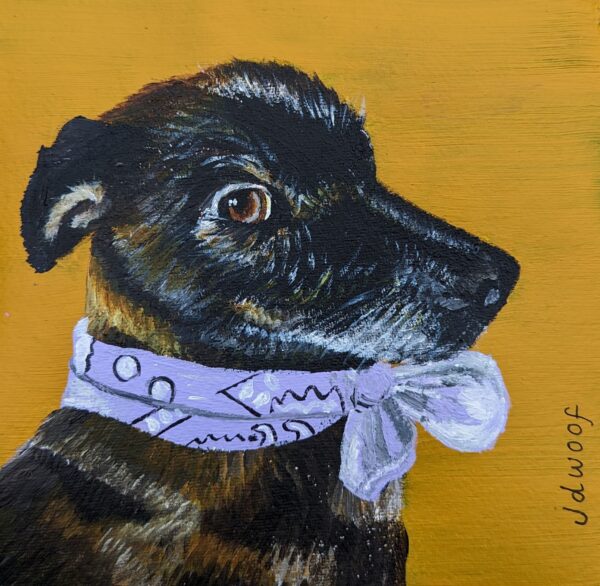 dog portrait, jdwoof, miss wood for the trees