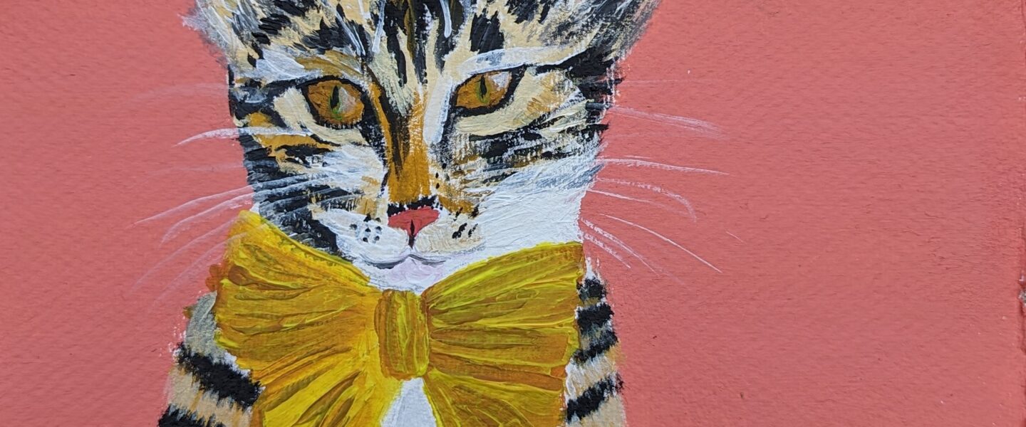 cat portrait, jdwoof, miss wood for the trees