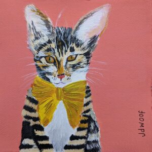 cat portrait, jdwoof, miss wood for the trees