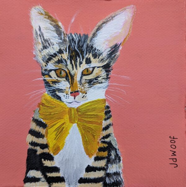cat portrait, jdwoof, miss wood for the trees
