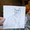 jdwoof drawing cat illustration portrait