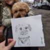 jdwoof drawing dog illustration portrait