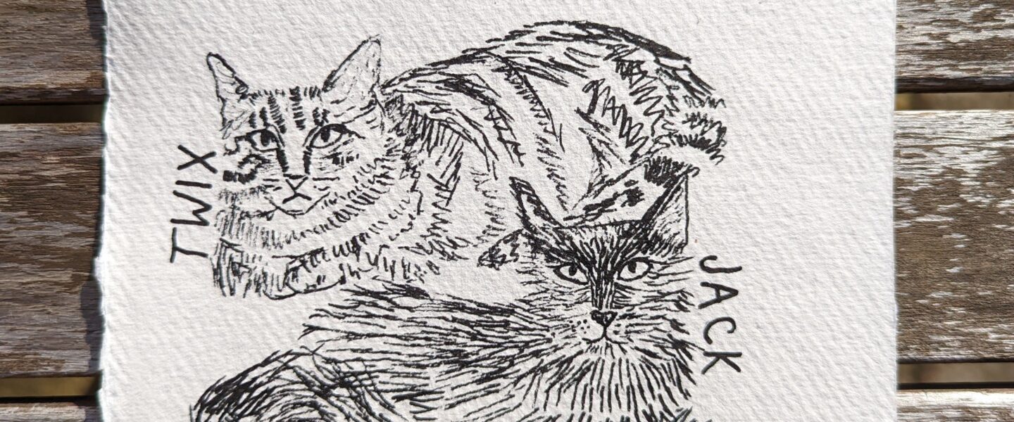 jdwoof cat illustration miss wood for the trees