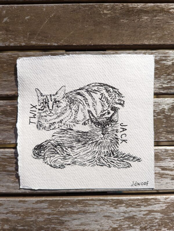 jdwoof cat illustration miss wood for the trees